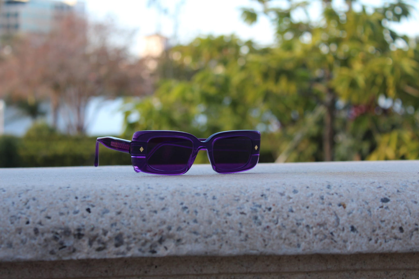 “Cloud Jelly Gift sunglasses centered on a stone ledge, with rich purple frame and green foliage in the background”