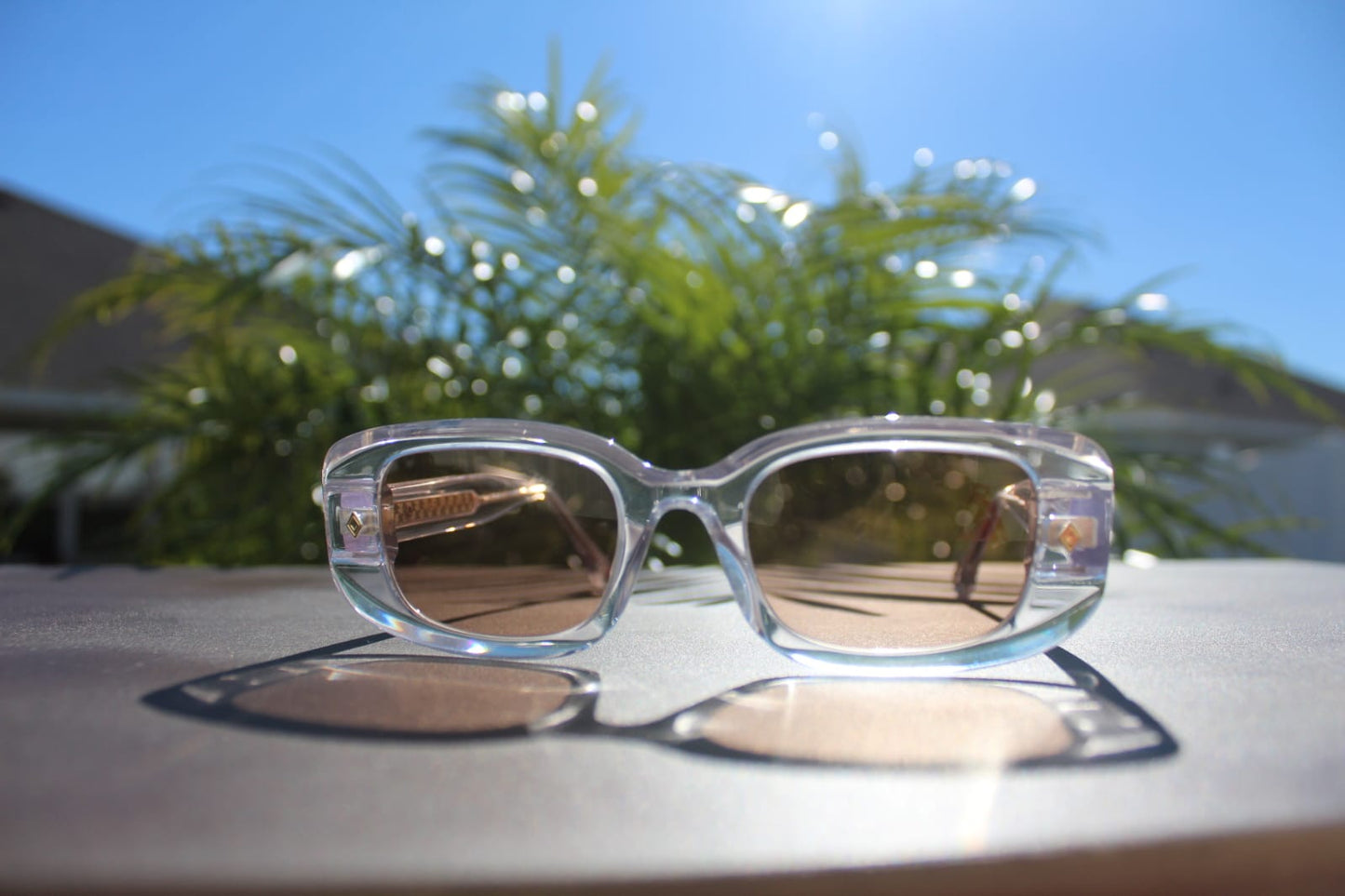 Cloud Jelly Sunglasses - Peace